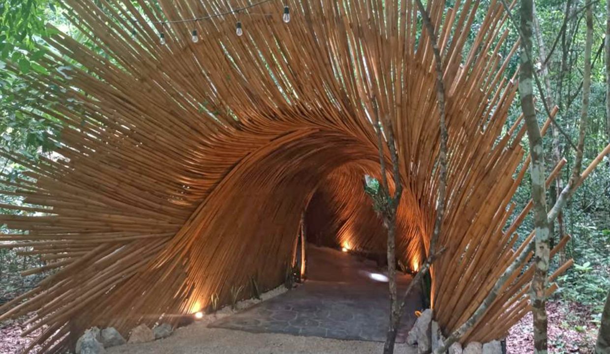 terrenos puerto morelos, lotes puerto morelos, terrenos cancun, terreno cancun, lote cancun, lotes cancun, terreno cerca tren maya,10