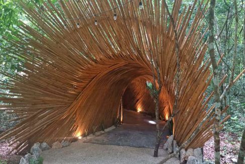 terrenos puerto morelos, lotes puerto morelos, terrenos cancun, terreno cancun, lote cancun, lotes cancun, terreno cerca tren maya,10