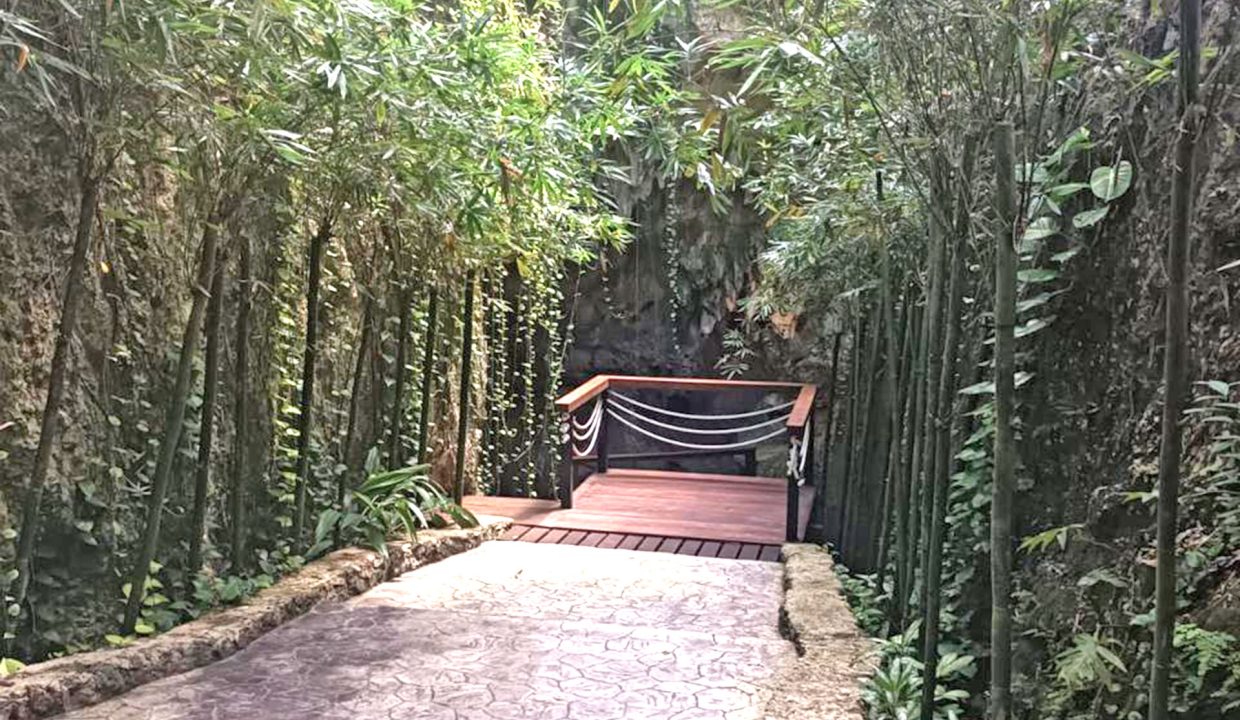 terrenos puerto morelos, lotes puerto morelos, terrenos cancun, terreno cancun, lote cancun, lotes cancun, terreno cerca tren maya,12