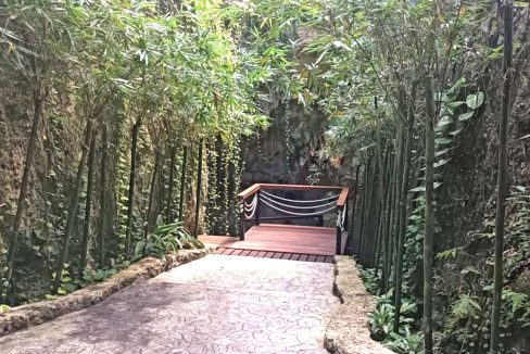 terrenos puerto morelos, lotes puerto morelos, terrenos cancun, terreno cancun, lote cancun, lotes cancun, terreno cerca tren maya,12