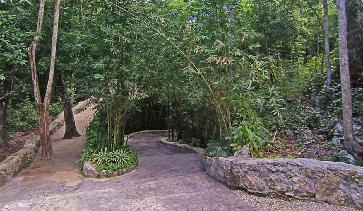 terrenos puerto morelos, lotes puerto morelos, terrenos cancun, terreno cancun, lote cancun, lotes cancun, terreno cerca tren maya,13