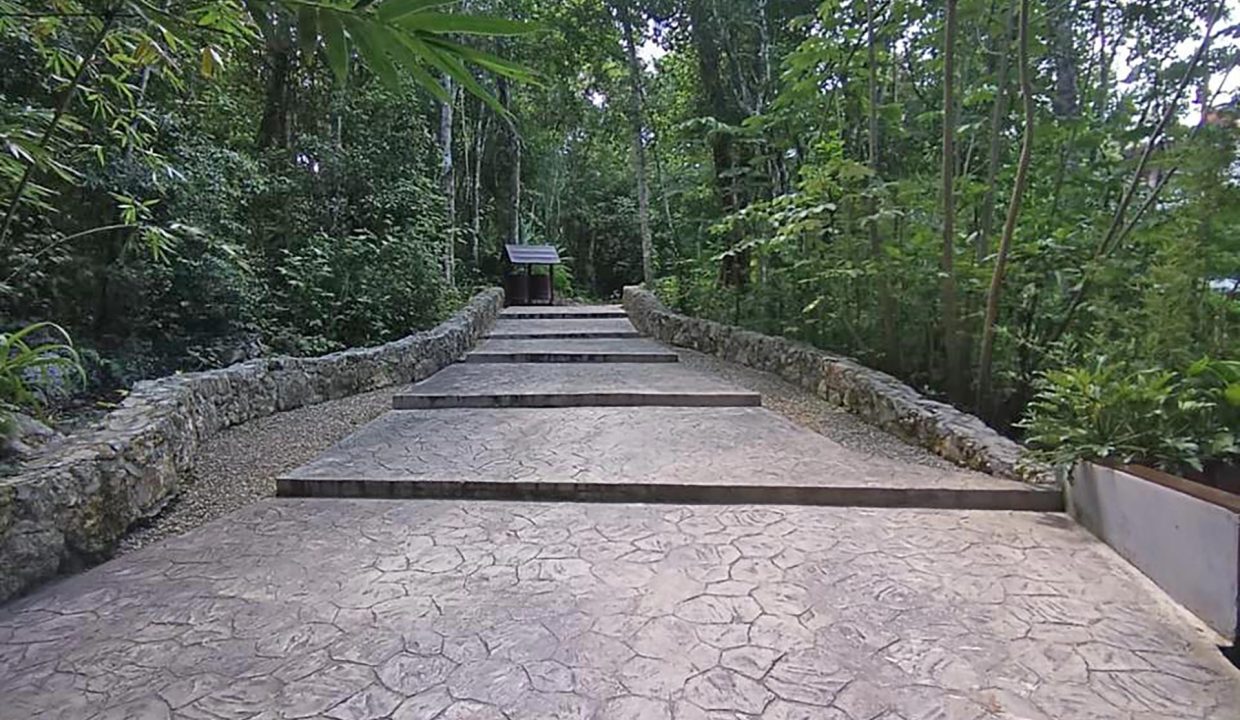 terrenos puerto morelos, lotes puerto morelos, terrenos cancun, terreno cancun, lote cancun, lotes cancun, terreno cerca tren maya,20