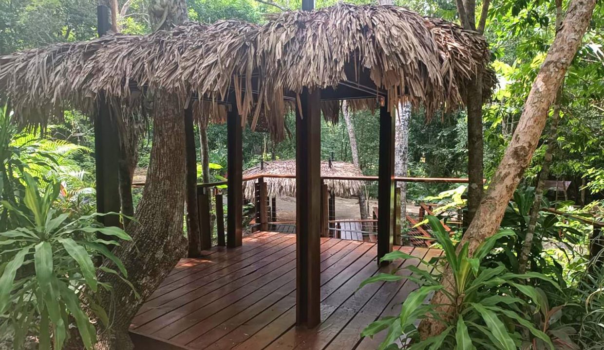 terrenos puerto morelos, lotes puerto morelos, terrenos cancun, terreno cancun, lote cancun, lotes cancun, terreno cerca tren maya,24