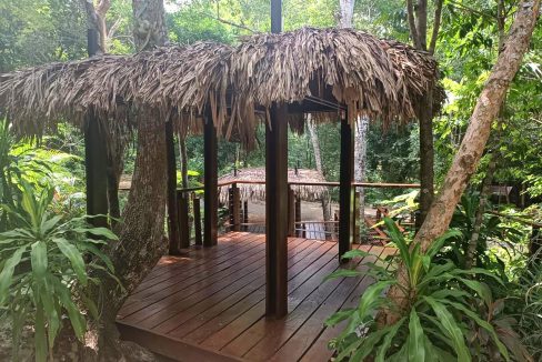 terrenos puerto morelos, lotes puerto morelos, terrenos cancun, terreno cancun, lote cancun, lotes cancun, terreno cerca tren maya,24