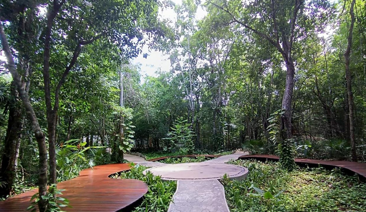 terrenos puerto morelos, lotes puerto morelos, terrenos cancun, terreno cancun, lote cancun, lotes cancun, terreno cerca tren maya,25