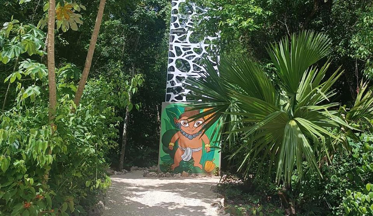 terrenos puerto morelos, lotes puerto morelos, terrenos cancun, terreno cancun, lote cancun, lotes cancun, terreno cerca tren maya,26