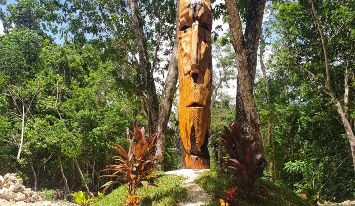 terrenos puerto morelos, lotes puerto morelos, terrenos cancun, terreno cancun, lote cancun, lotes cancun, terreno cerca tren maya,5