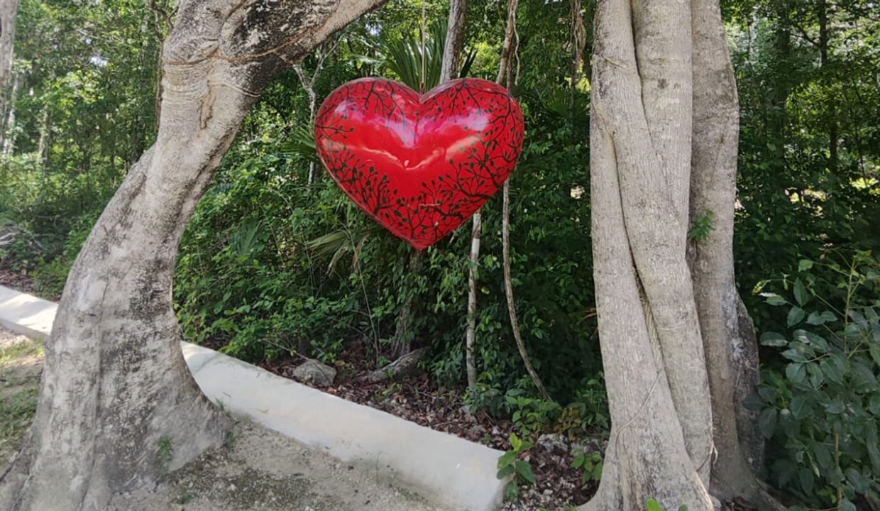 terrenos puerto morelos, lotes puerto morelos, terrenos cancun, terreno cancun, lote cancun, lotes cancun, terreno cerca tren maya,8