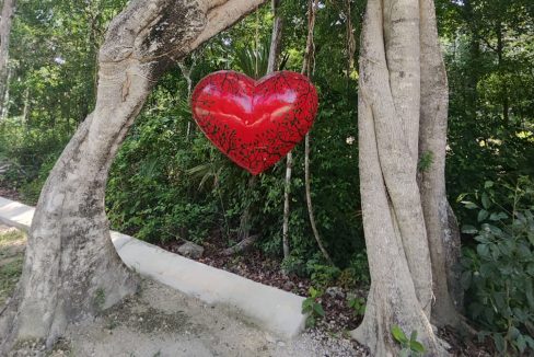 terrenos puerto morelos, lotes puerto morelos, terrenos cancun, terreno cancun, lote cancun, lotes cancun, terreno cerca tren maya,8