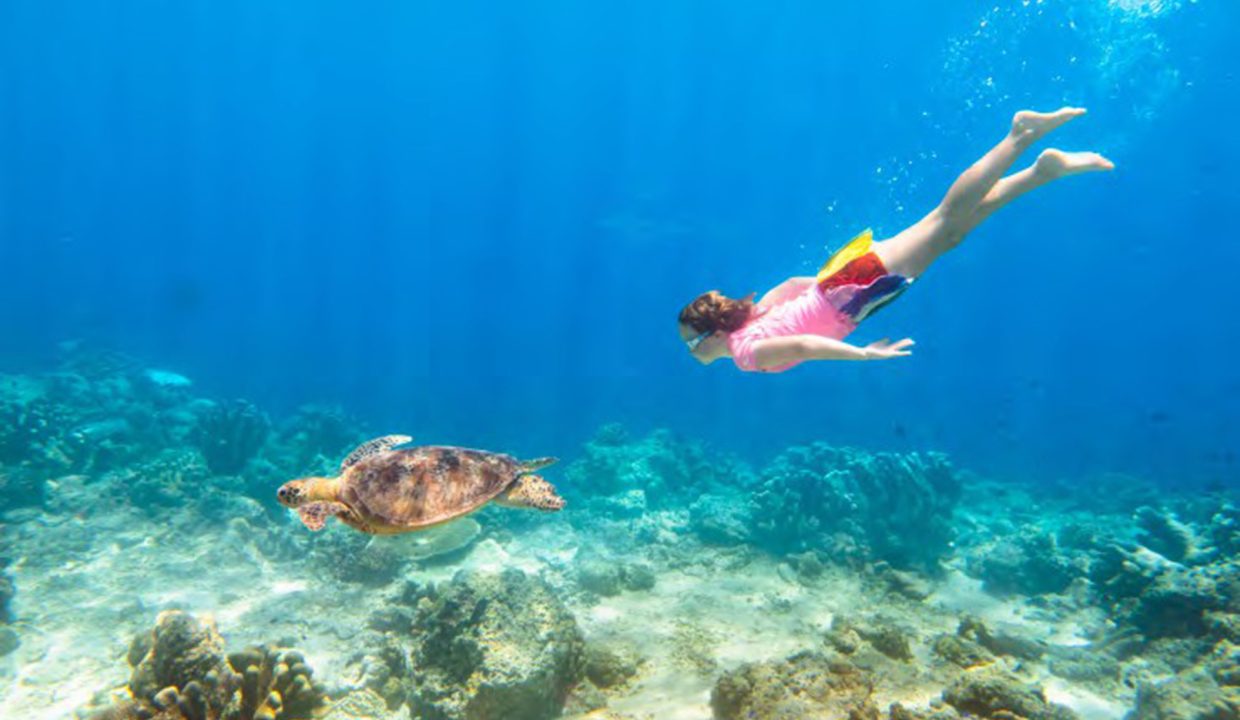 beachfront property Riviera Maya, luxury condos Puerto Morelos, Mexico real estate investment, vacation rental income Mexico, Quintana Roo condos for sale, high ROI-20